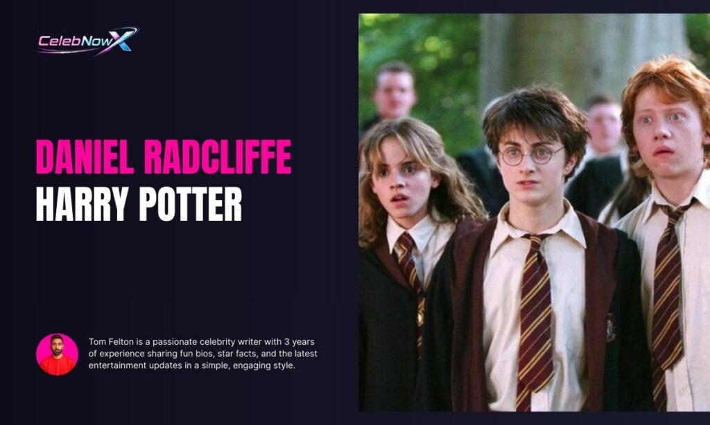 How Much Did Daniel Radcliffe Make From Harry Potter
